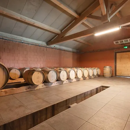 Domaine Sainte Cecile du Parc-3